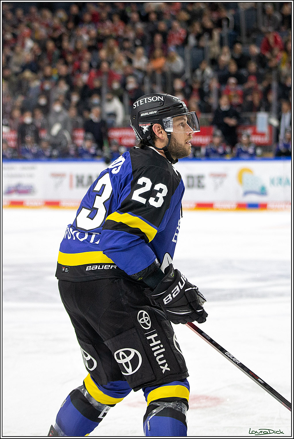 PENNY DEL; Koelner Haie- Fishtown Pinguins Bremerhaven; Koeln, 23.11.2021